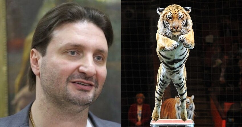 Дрессировщик Запашный показал, во что тигр превратил его лицо после удара лапой