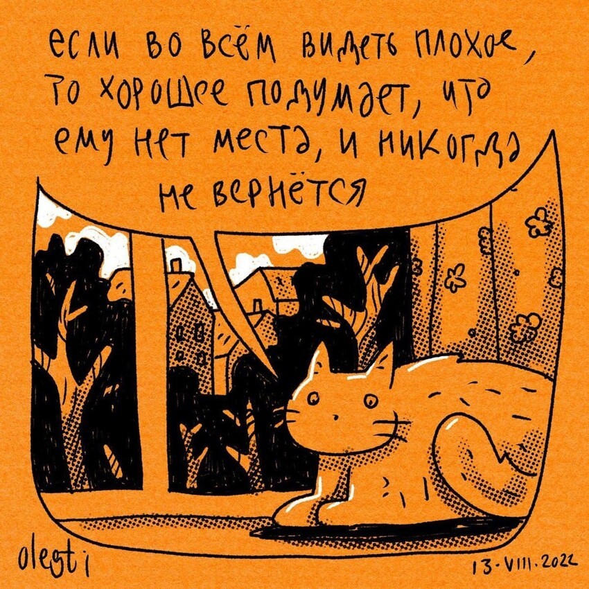 18 комиксов про умного котика, который понял эту жизнь