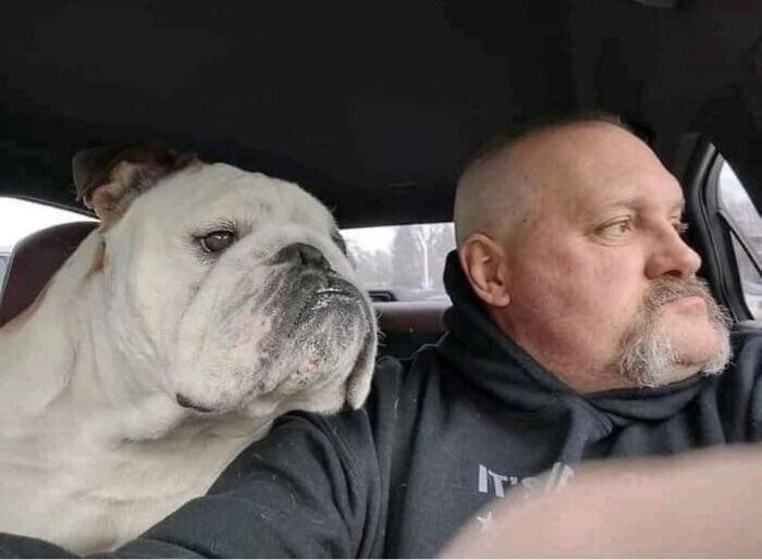 Хозяин и его пес похожи