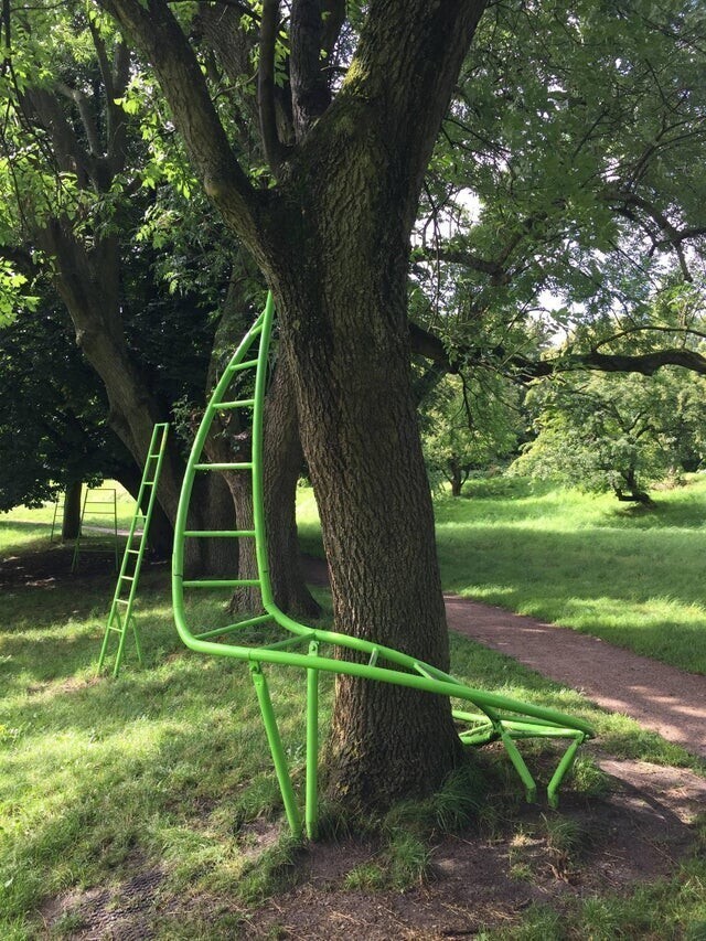 В этом парке в Дании власти установили лестницы на деревьях, чтобы детям было безопасно лазить