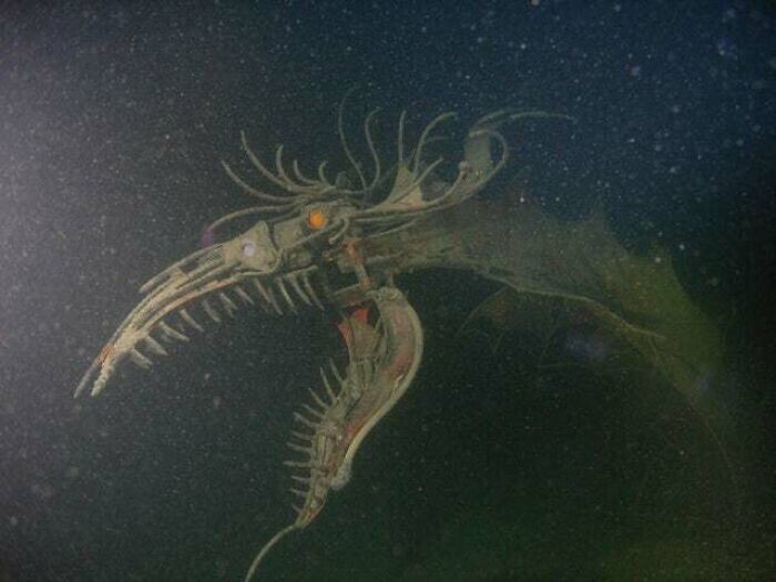 18. Подводный дракон