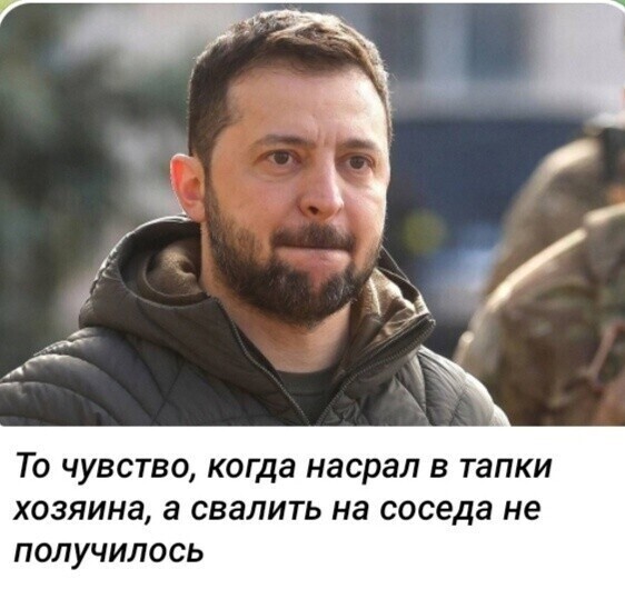 О политике и не только