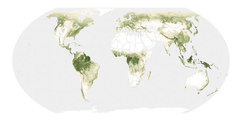 Высота лесов Земли, от саженцев до деревьев высотой более 50 метров, по всей планете