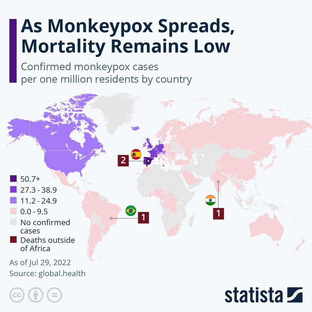 Подтвержденные случаи оспы обезьян на один миллион жителей в каждой стране