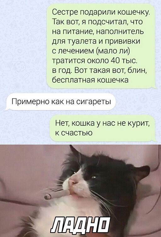 Смешные и познавательные картинки