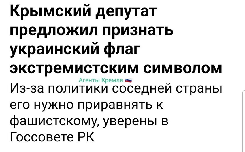 Рано или поздно, по мнению Волкова, вопрос о признании украинского флага в России экстремистским будет решен на государственном уровне