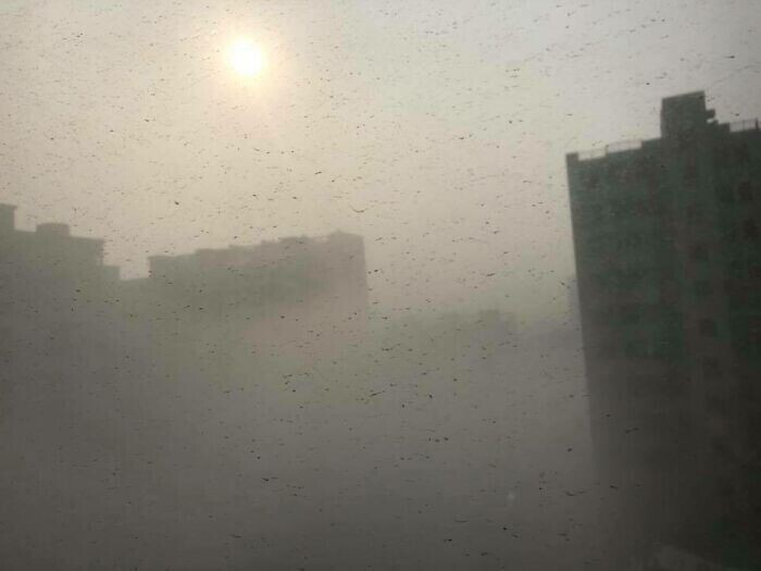 7. Вид из окна отеля - Таншань, Китай. Спасибо китайской угольной промышленности