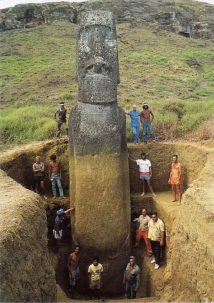 Оцените истинный размер идолов острова Пасхи