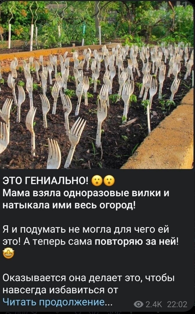 Вы не поверите, но если пропускать рекламные объявления, то случится это. Показываю