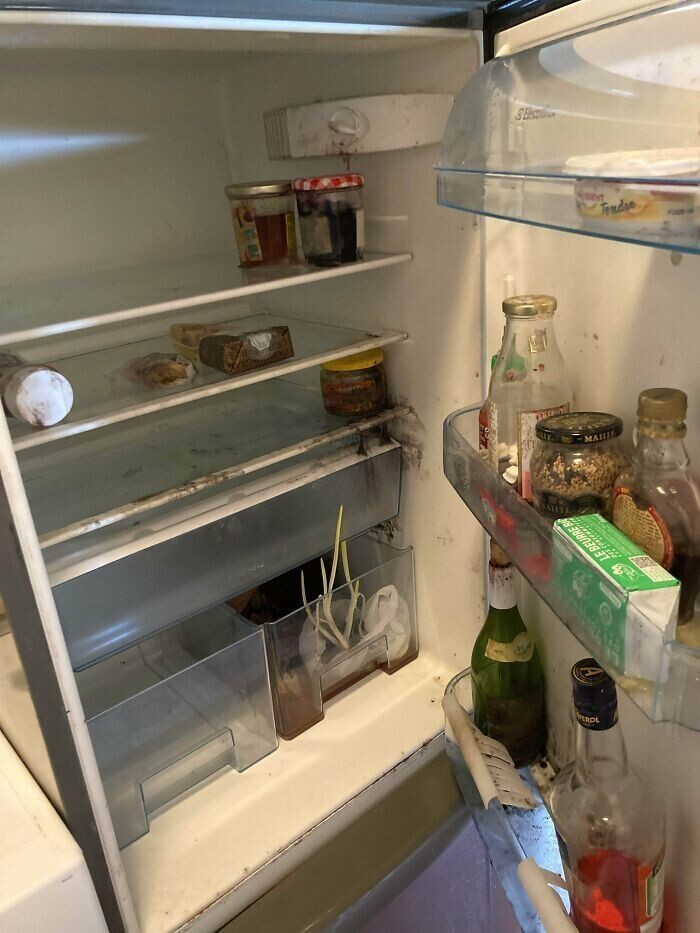Мой сосед по комнате, уезжая, выключил электричество, но забыл убрать продукты из холодильника