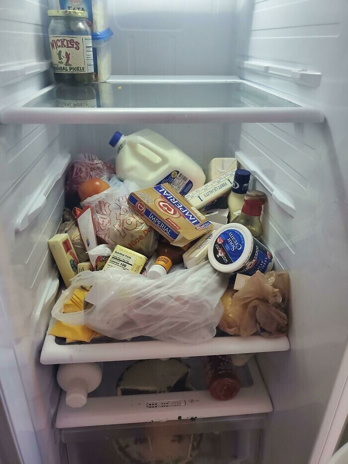 Полка моего соседа в холодильнике