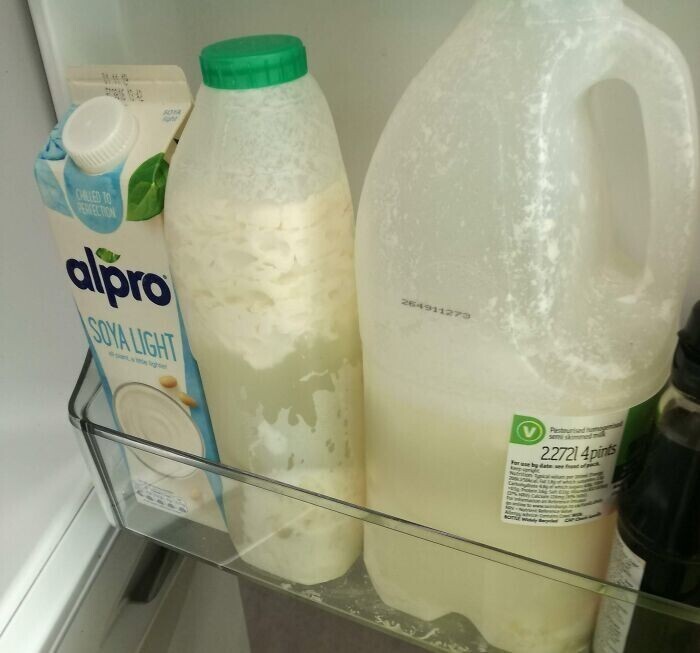 Мой сосед никогда не выбрасывает из холодильника прокисшее молоко