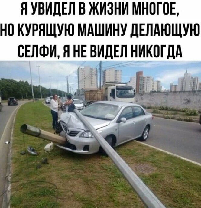 Смешные и познавательные картинки