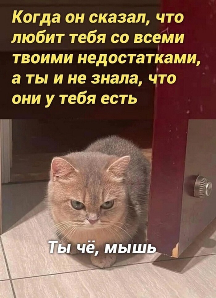 Скрины из соцсетей