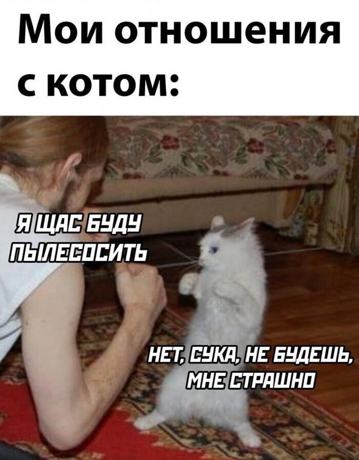 Скрины из соцсетей