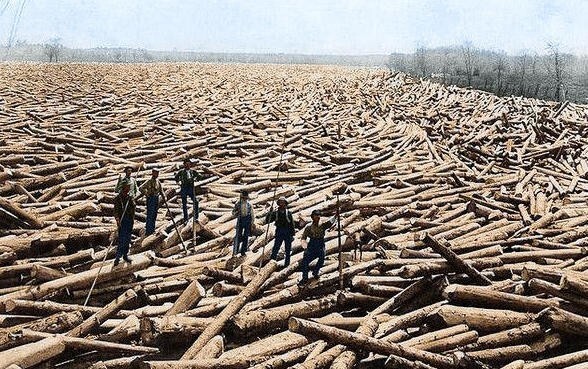 3. Лесорубы на реке Гудзон, 1907 год