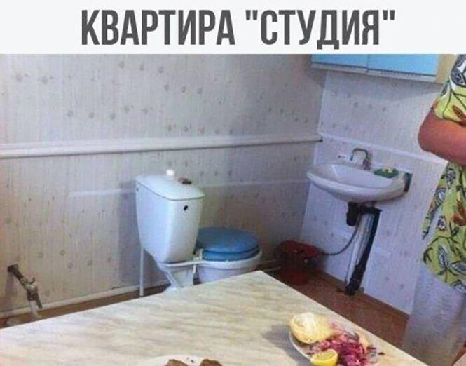 Смешные и познавательные картинки