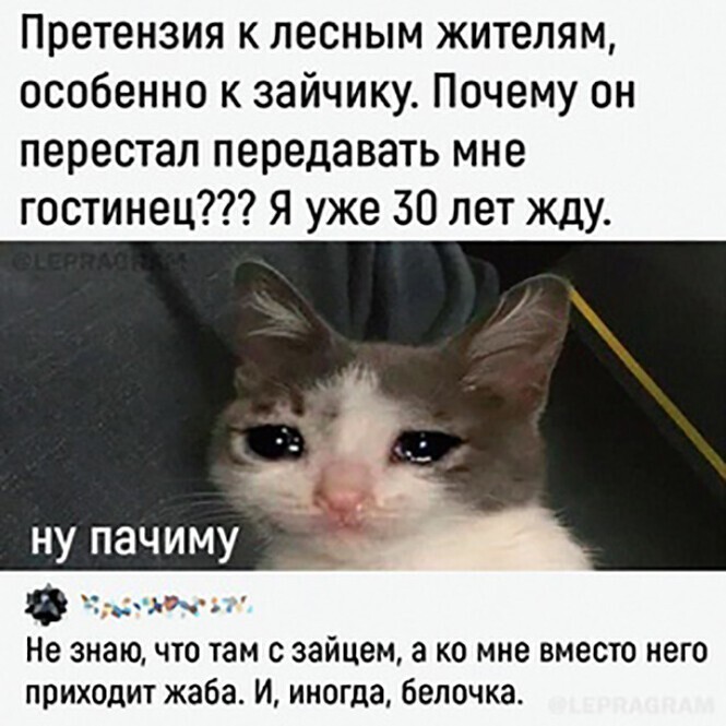 Смешные и познавательные картинки