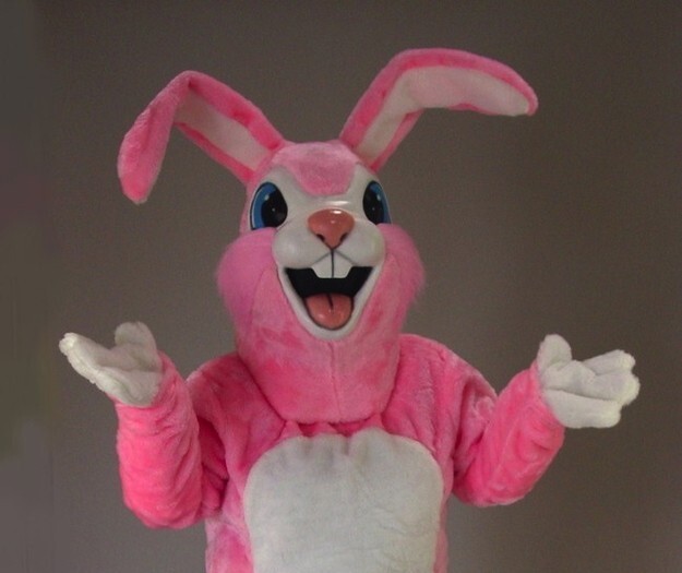9. Во время его турне по Северной Америке в 2004 году Боуи преследовал розовый кролик ростом 1,6 метра. Кролик стоял в первом ряду на каждом выступлении