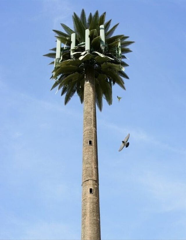 Телекоммуникационная башня похожа на пальму