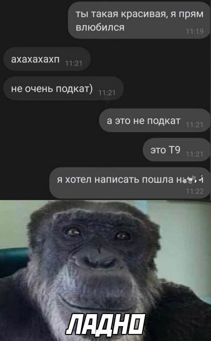 Скрины из соцсетей