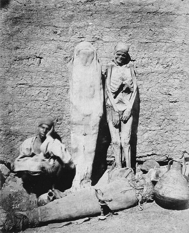 Продавец мумий 1875 год, Египет