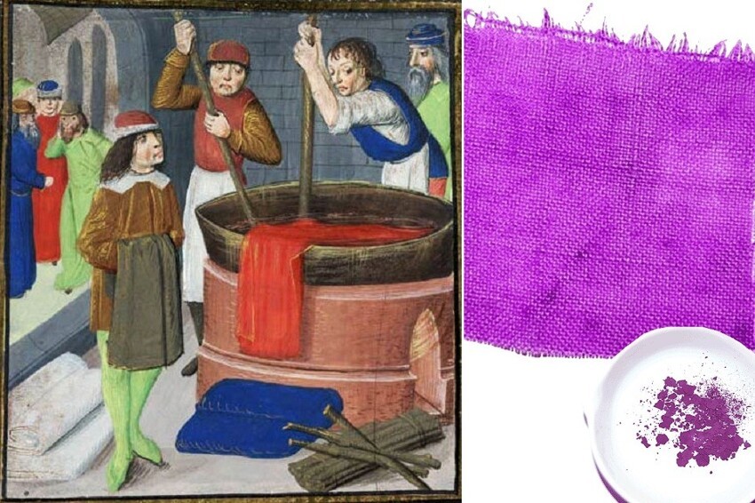 Тайна зелёной книги: зачем средневековое пособие по ботанике отравили ядом?
