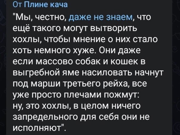 О политике и не только