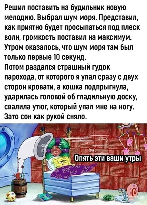 Смешные и познавательные картинки