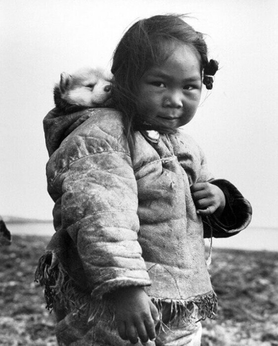 Маленькая эскимоска и ее хаски, 1949 год