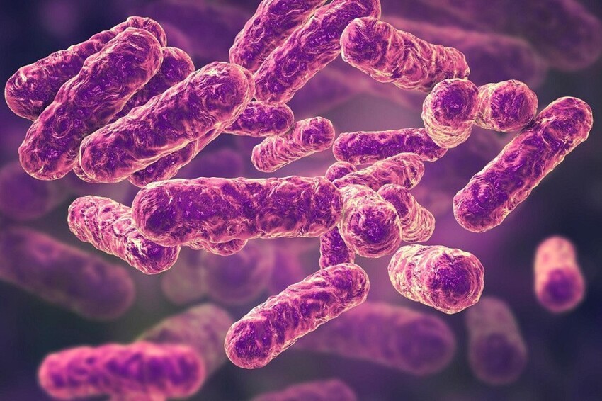 Бактерия безумия: как необычное заражение едва не свело ребёнка с ума