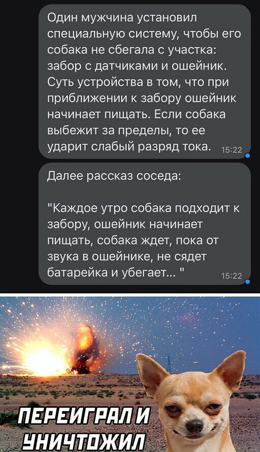 Смешные и познавательные картинки