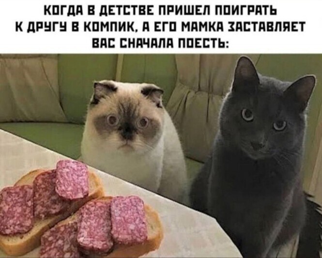 Смешные и познавательные картинки