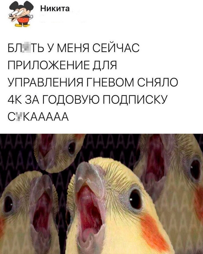 Скрины из соцсетей