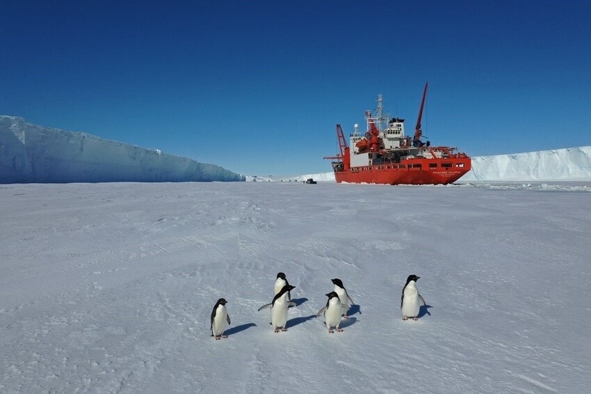 Почему Арктика теплее Антарктики?