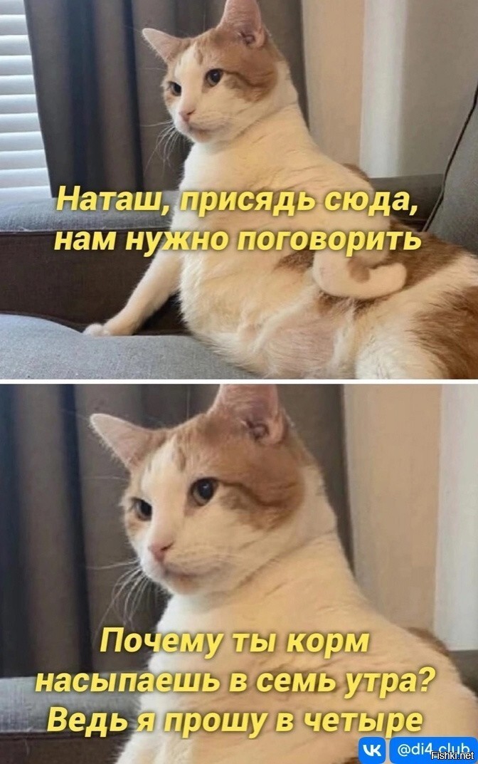 d66e8f8a44aa42cb4cfcb2fc807f2ecb.jpg