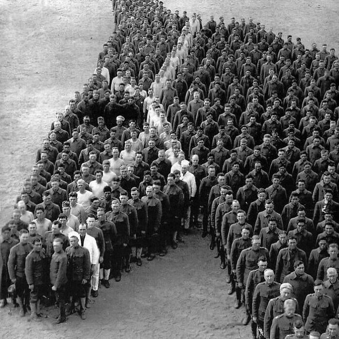 1. Солдаты Первой мировой войны отдают дань памяти миллионам лошадей, ослов и мулов, погибших на войне