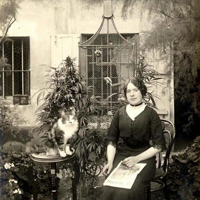 12. Парижанка с кошкой в своем садике с коноплей, 1910 год