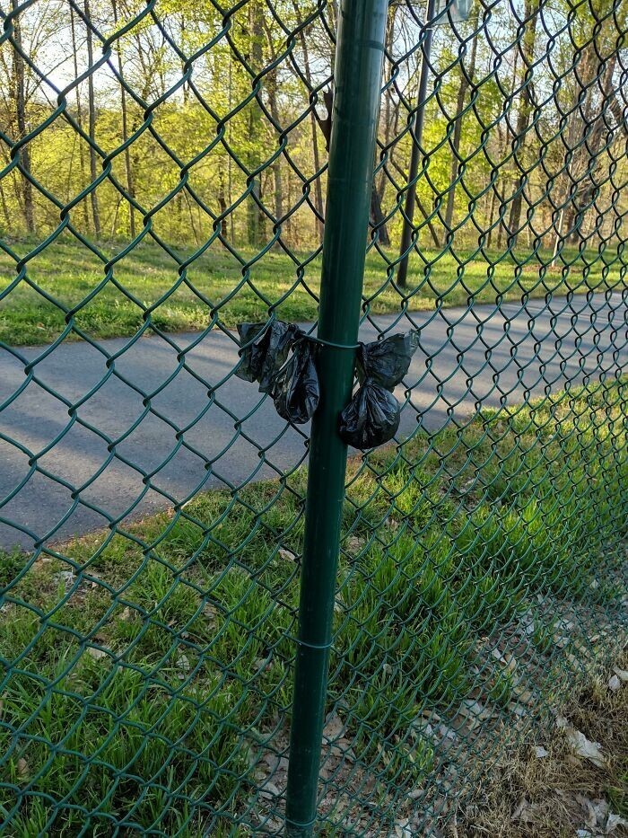 9. "Люди в нашем собачьем парке слишком ленивы, чтобы донести пакеты с какашками до мусорного ведра, поэтому они вешают их на забор"