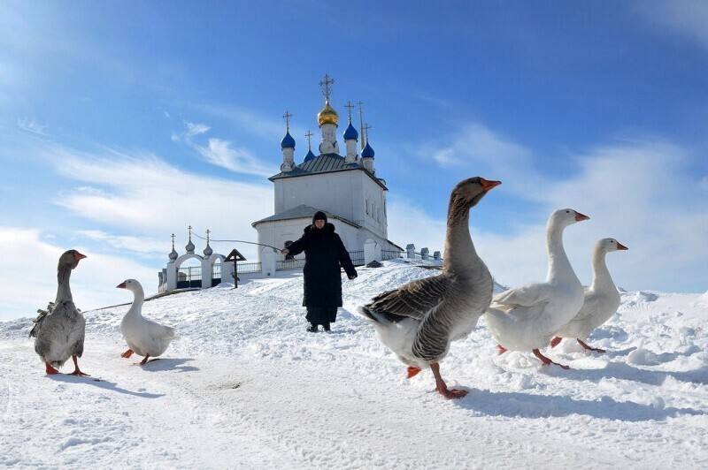 Немного нуара в ленту