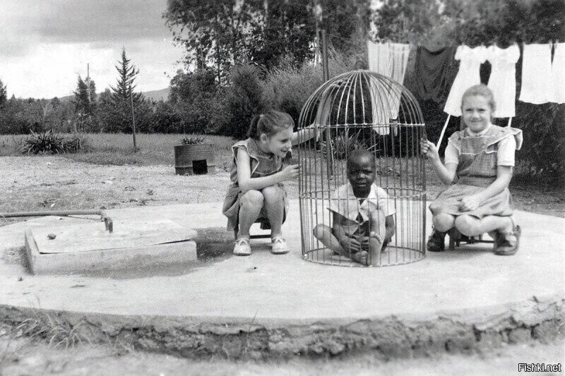 Бельгийские девочки играют с негритёнком в клетке для птиц, 1955 год