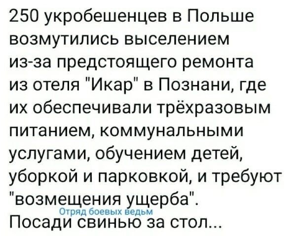 О политике и не только