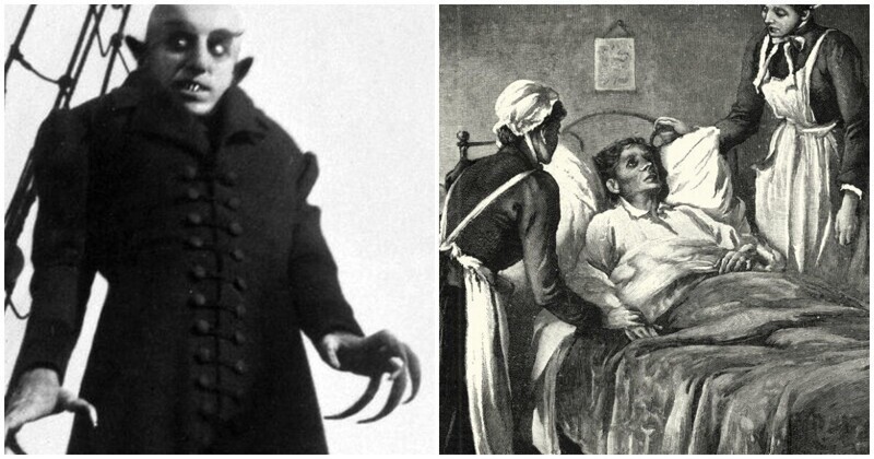 Туберкулёз стал причиной охоты на американских вампиров
