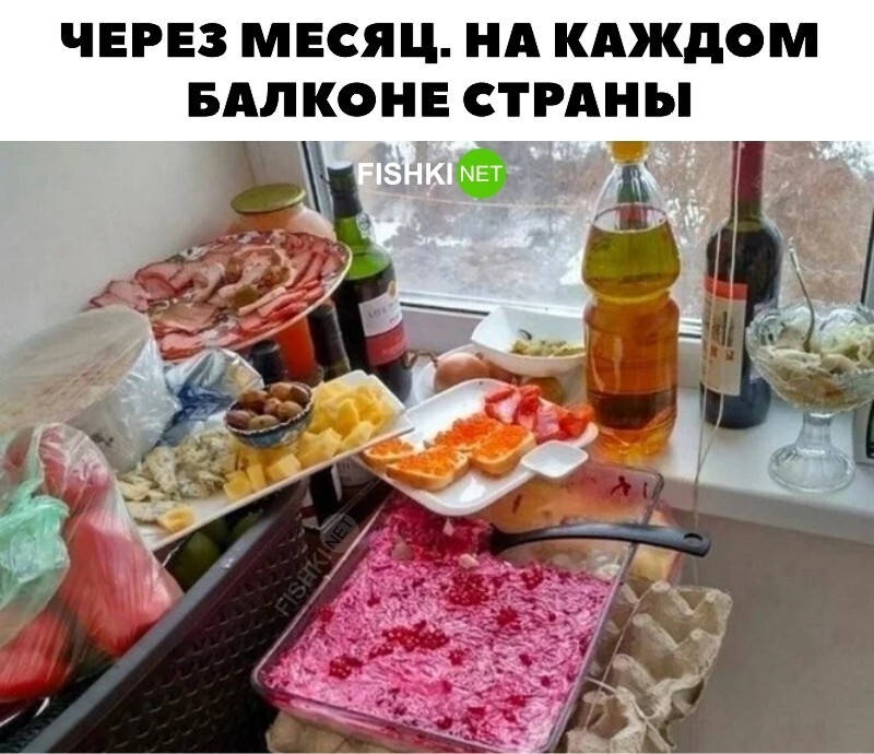 Смешные и познавательные картинки