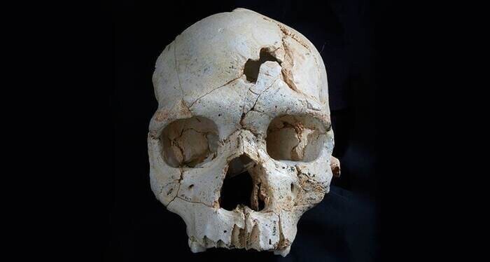 Череп возрастом 430 000 лет является самым ранним известным человеческим останком с прямым доказательством убийства. Трещины на верхней части черепа сделаны тупым инструментом