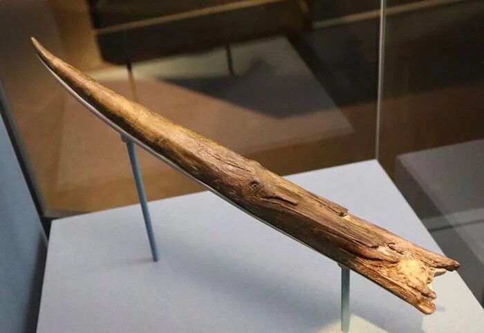 Копьё из Клактона (Великобритания) . Самое старое деревянное изделие в мире. Было выточено 400 000 (четыреста тысяч) (16 000 поколений) лет назад