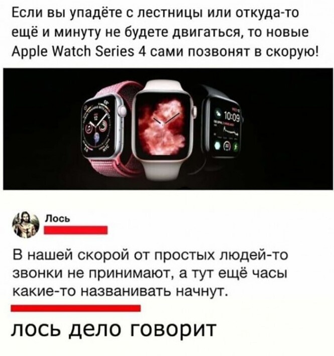 Смешные и познавательные картинки