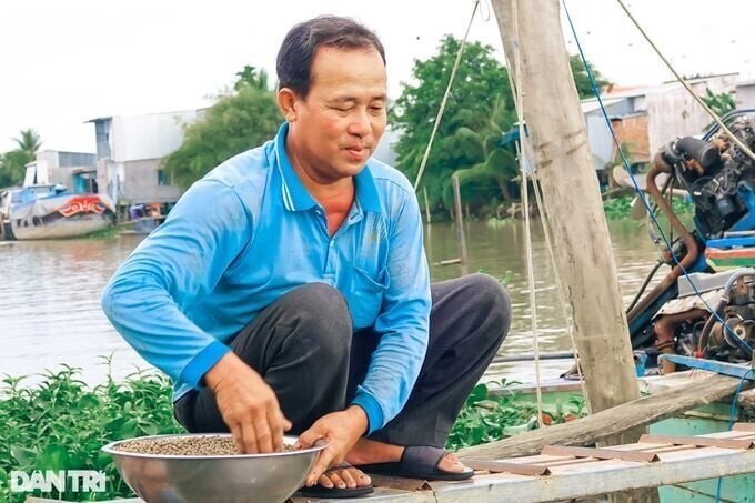 Вьетнамец приручил целую реку рыбок