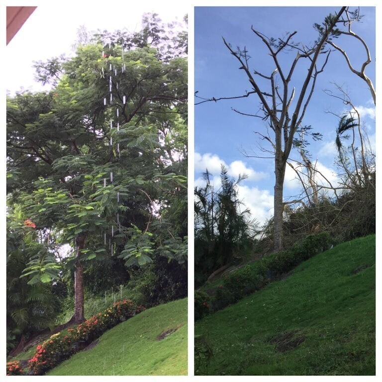 До и после урагана