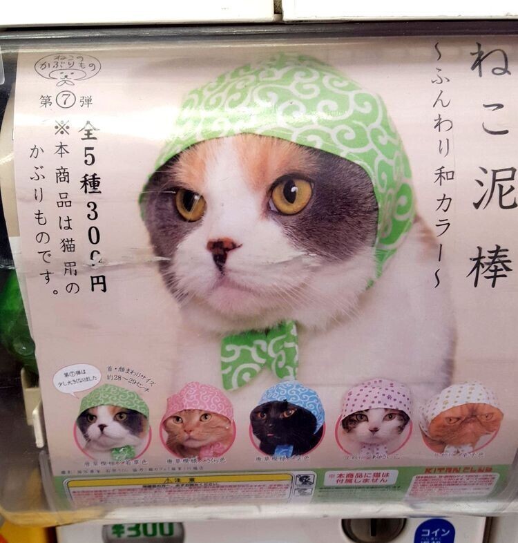 Эти кошачьи чепчики можно купить в Осаке, Япония